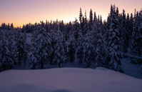 Sonnenuntergang bei Levi, Finnland