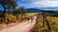 Mountainbike-Touren durch das Gebirge
