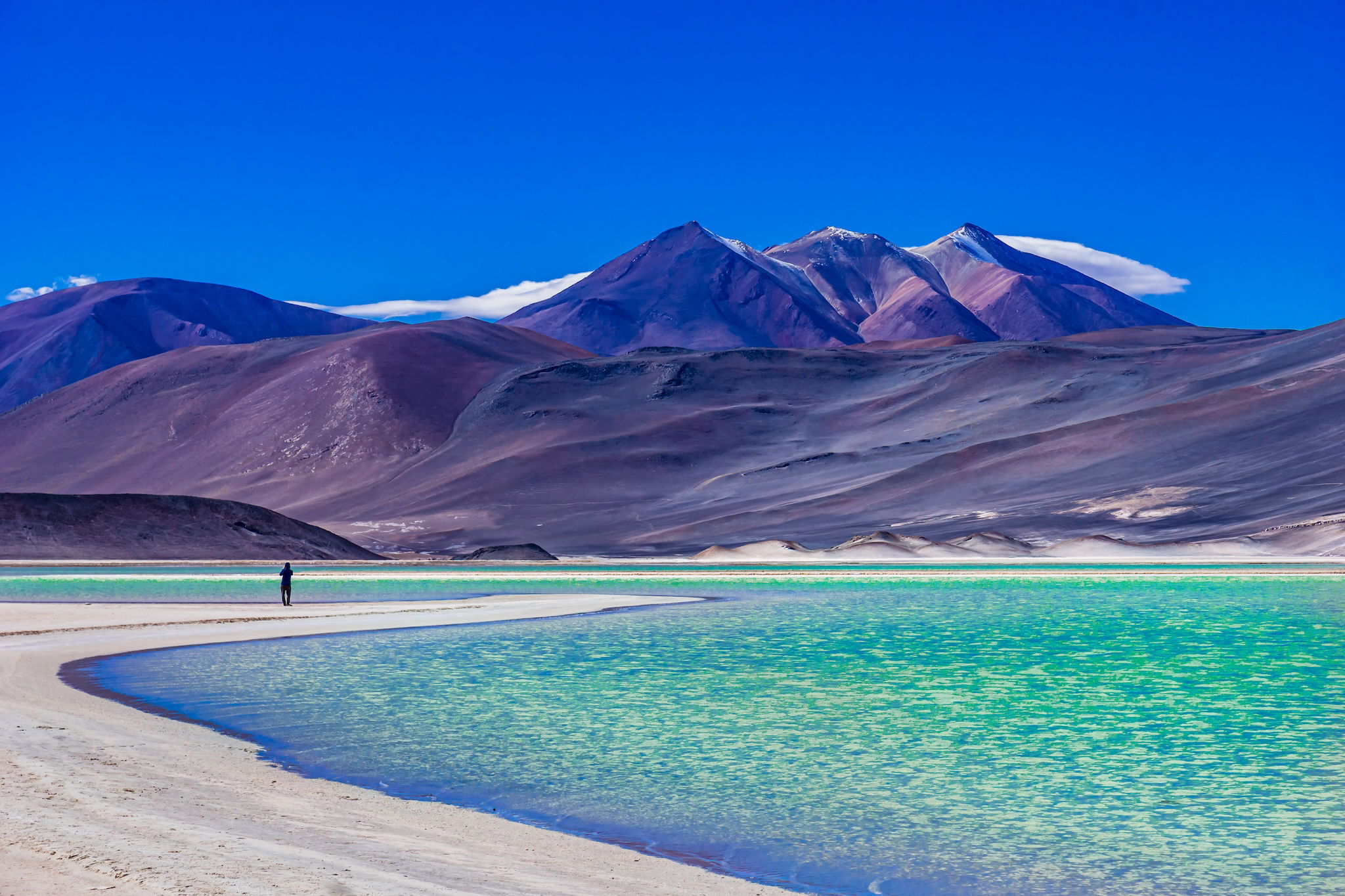 Laguna Salar de Talar