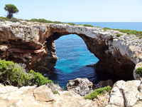 Cova Marina des Pont