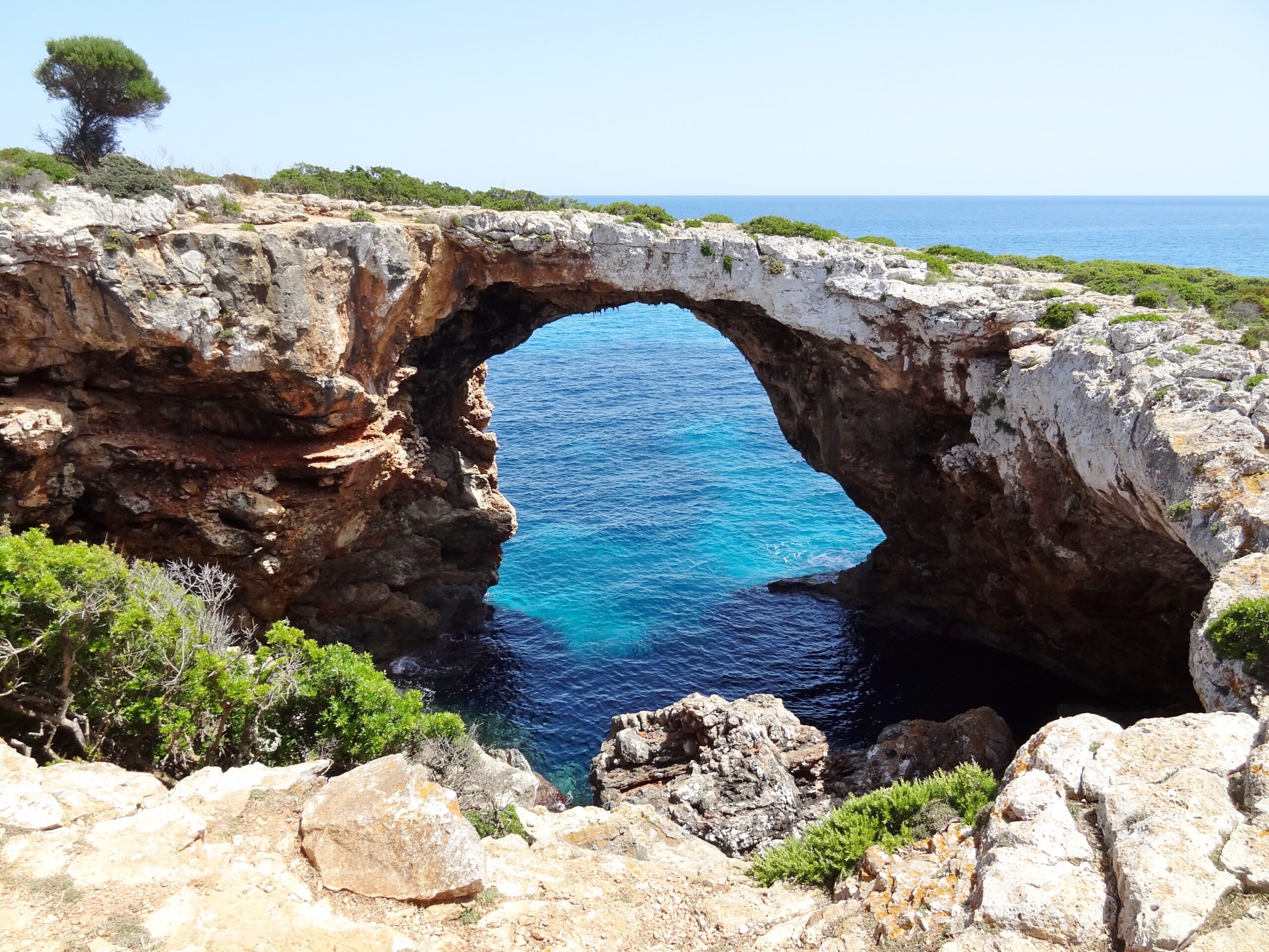 Cova Marina des Pont