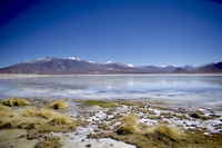 Laguna Blanca in der Atacama-Wüste, Bolivien