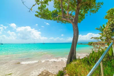 Guadeloupe Grande-Terre: 6 atemberaubende Ausflüge
