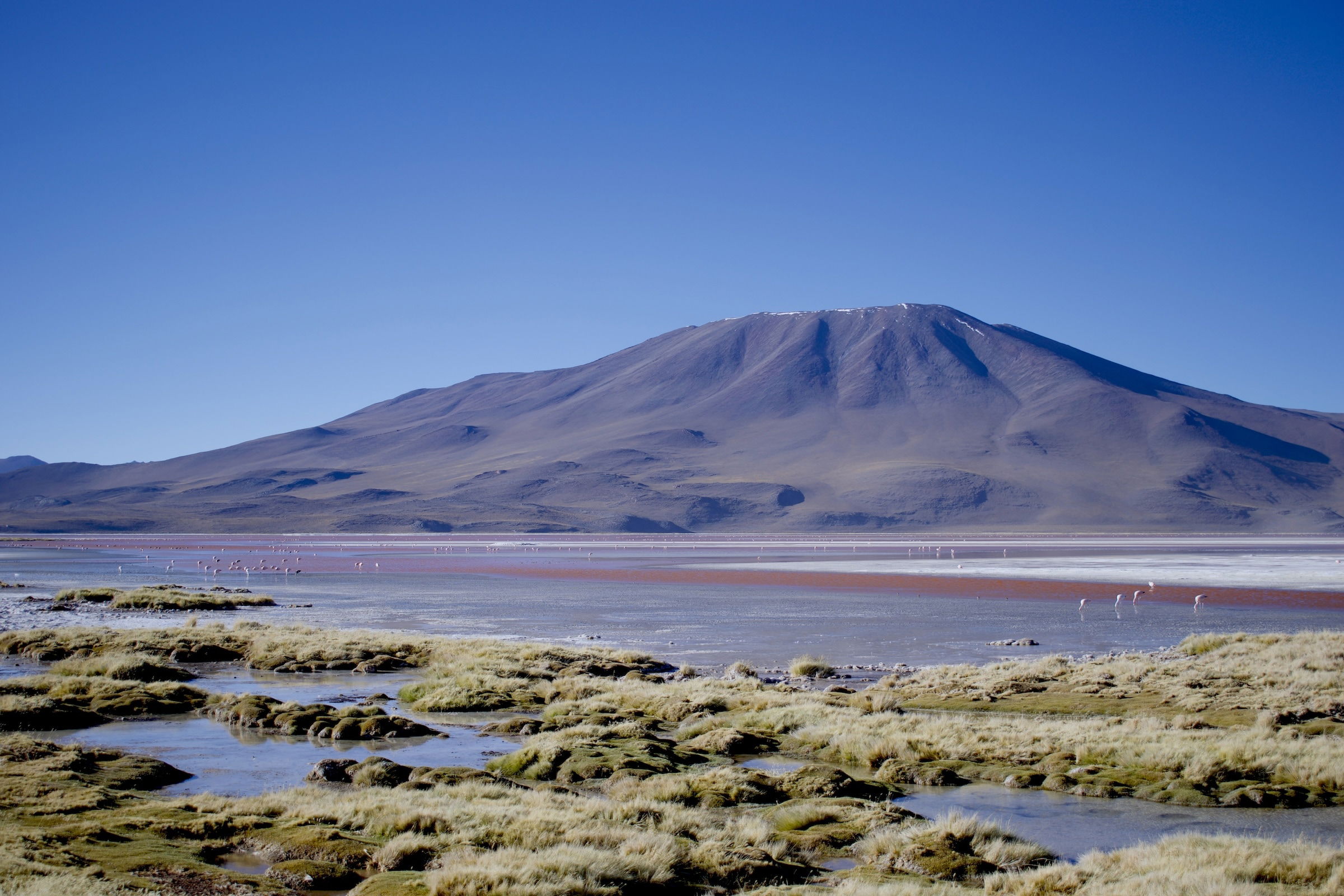 Laguna Colorada, Atacama Wüste, Bolivien