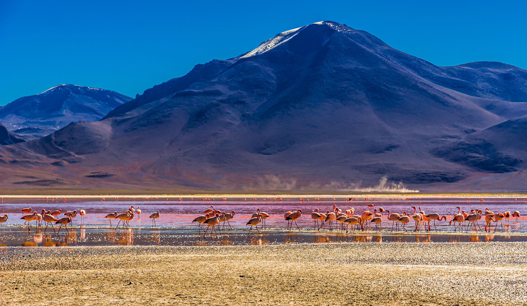 Laguna Colorada, Bolivien