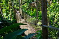 Parc des Mamelles Zoo, Basse-Terre