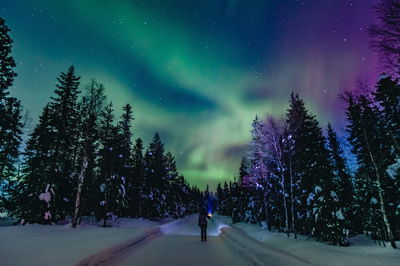 Lappland Polarlicht Tour: Abenteuer in Finnland