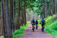 Mountainbike-Touren für jeden Anspruch