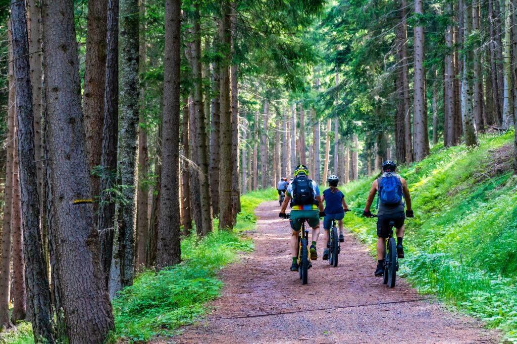 Mountainbike-Touren für jeden Anspruch