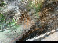 Auf dem Weg hoch zum Puig Major