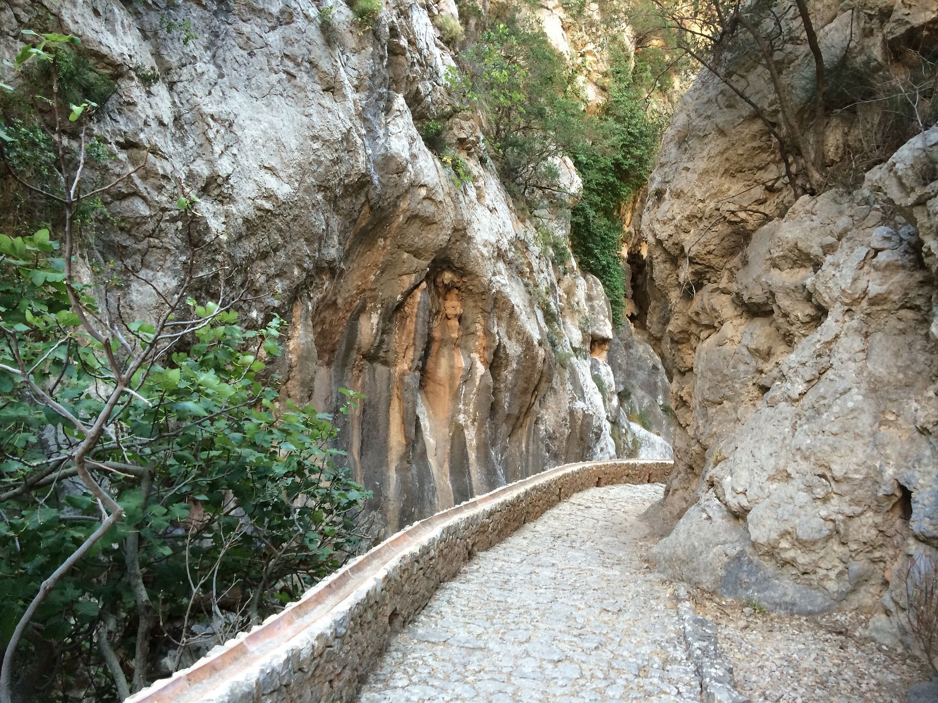 Auf dem Weg hoch zum Puig Major