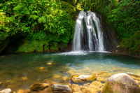 Ecrevisses Wasserfall, Basse-Terre