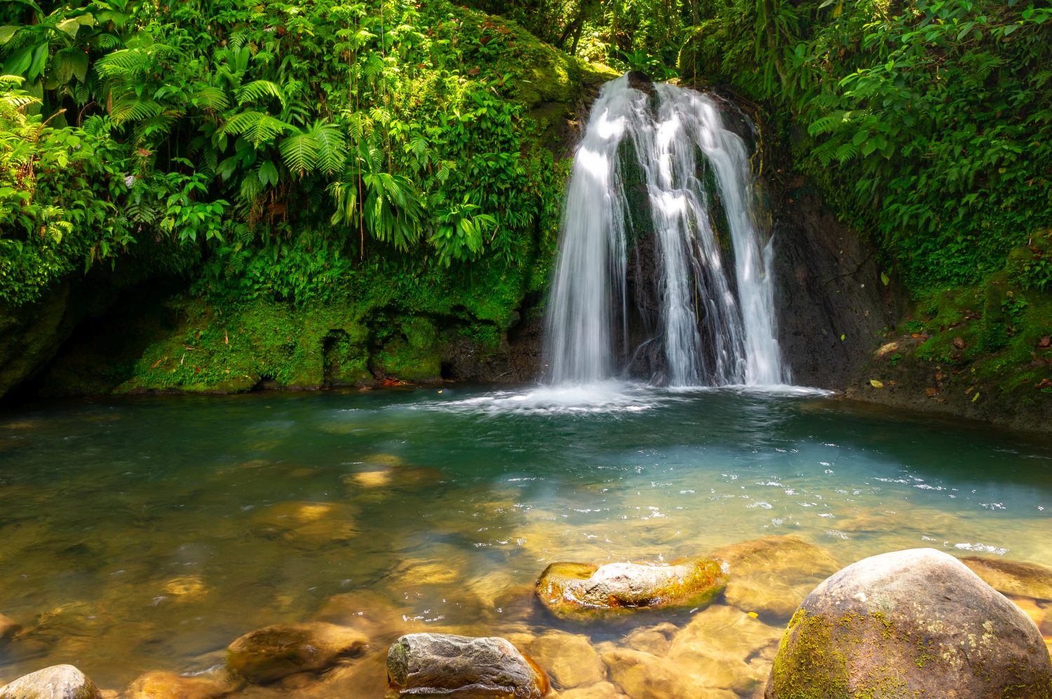 Ecrevisses Wasserfall, Basse-Terre