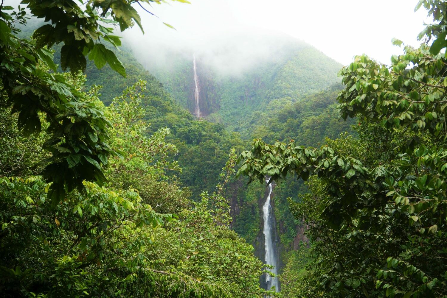 Wasserfälle Chutes de Carbet, Basse-Terre